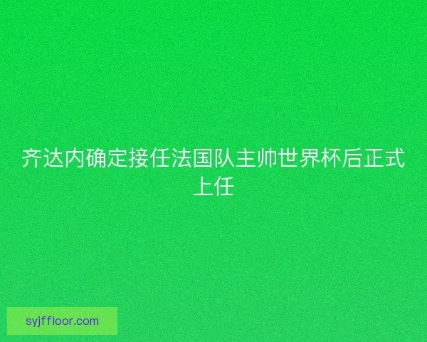 齐达内确定接任法国队主帅世界杯后正式上任
